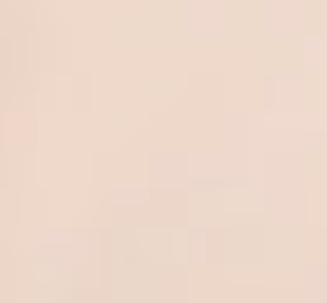 The Swans Dance - Ballet Length Hand Painted Veil by Artist Gabriela Angulo